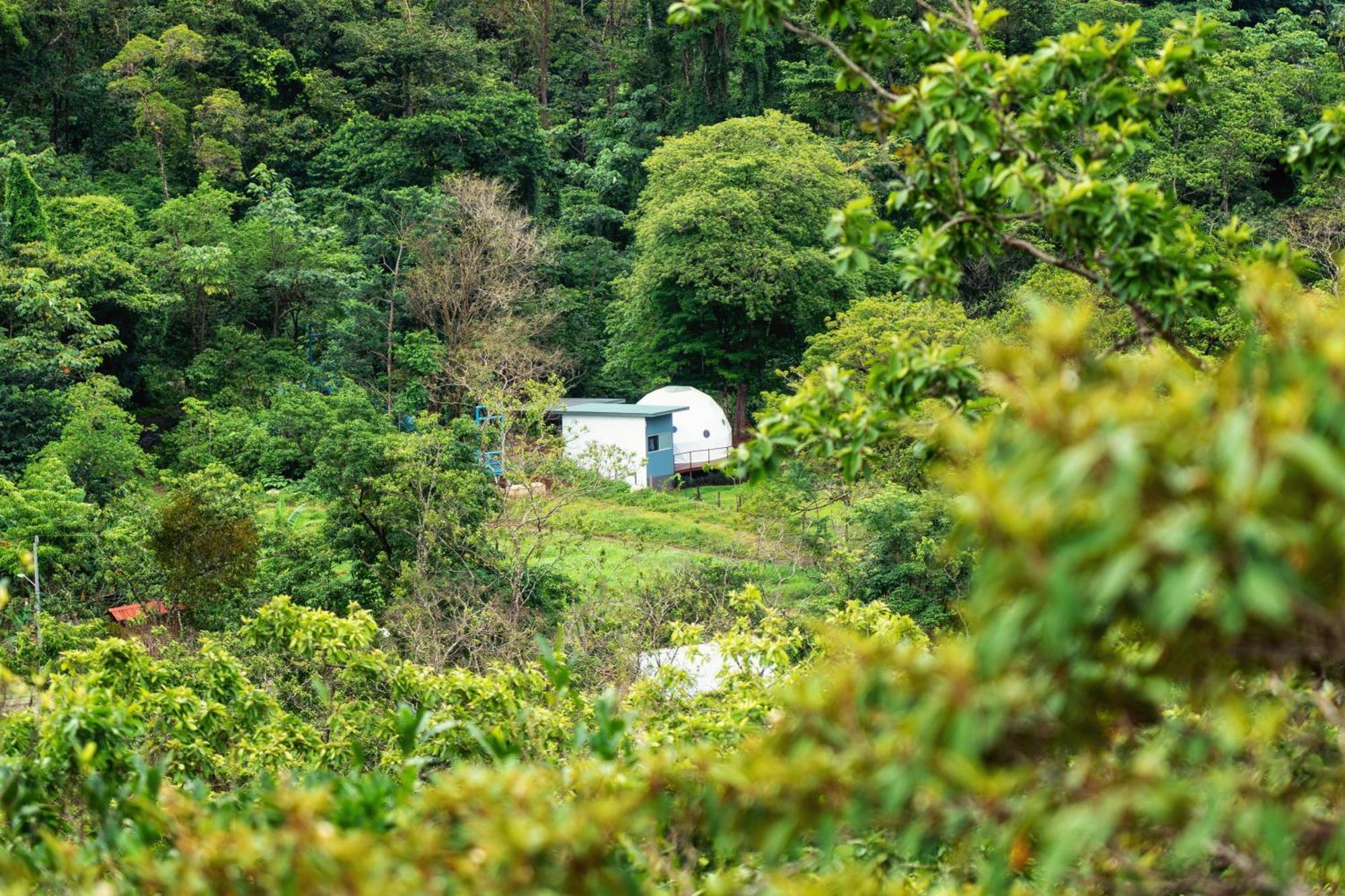Bitzu Dome-Bijagua Riverside Glamping Dış mekan fotoğraf
