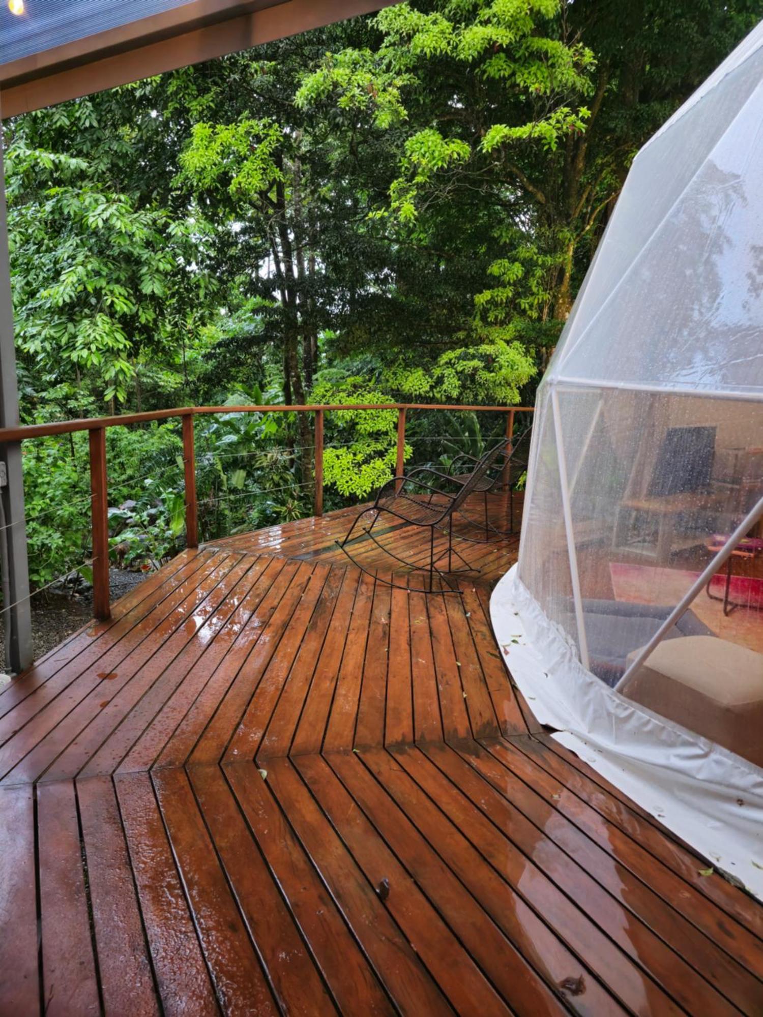 Bitzu Dome-Bijagua Riverside Glamping Dış mekan fotoğraf